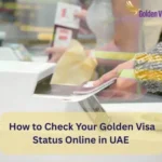 How to Check Your Golden Visa Status Online in UAE 2 How to Check Your Golden Visa Status Online in UAE